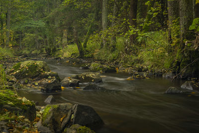 High angle view of waterfall in forest