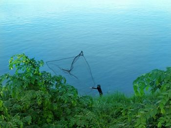 High angle view of man in sea