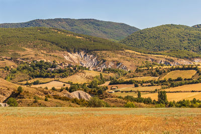 Scenic view of field against clear sky