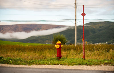 Rear view of woman standing on field