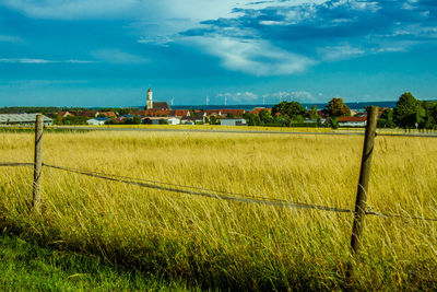 Scenic view of field against sky