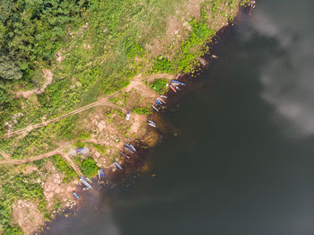 High angle view of road amidst trees