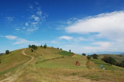 Scenic view of landscape against blue sky