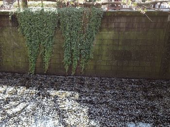 View of built structure