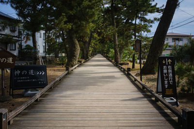 Boardwalk on the miho peninsula, japan, lined with nearly 600-year-old pine trees.