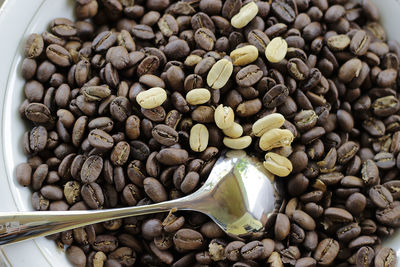 High angle view of coffee beans