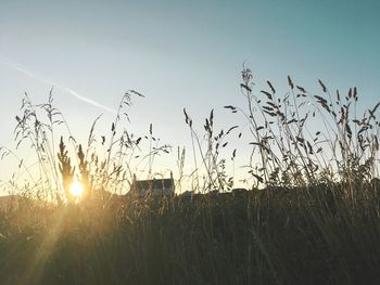 Scenic view of field against sky at sunset