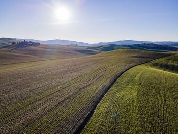 Scenic view of agricultural field against sky