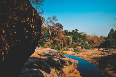 Rock formation amidst trees against sky