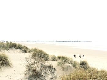 Scenic view of beach against clear sky