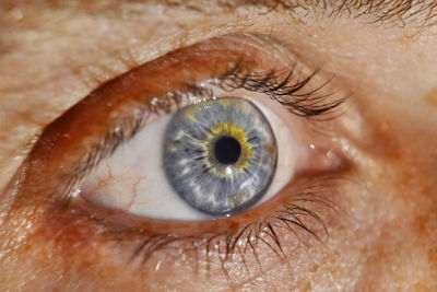 Close-up of human eye