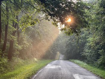 Road amidst trees in forest