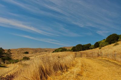 Scenic view of farm against sky