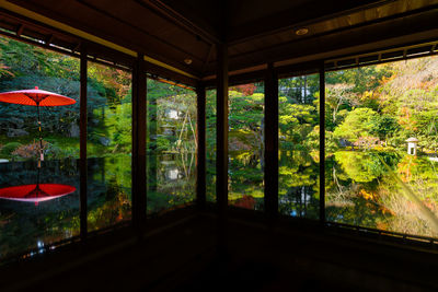 Reflection of trees on glass window of house