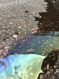 Reflection in puddle