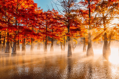 Scenic view of lake against sky during autumn