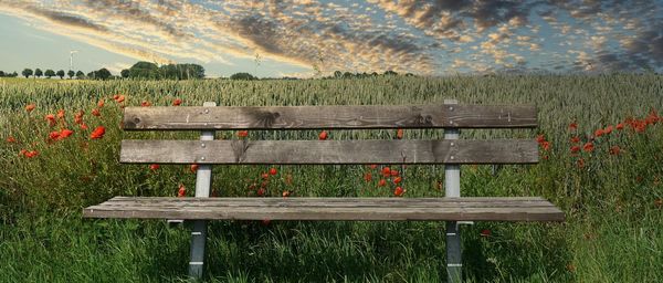 View of bench in field