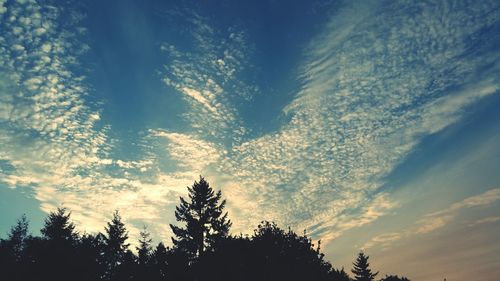 Low angle view of silhouette trees against sky