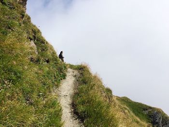 Rear view of woman in grass