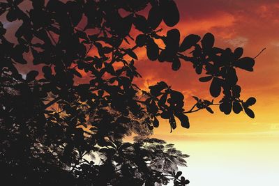 Low angle view of silhouette tree against sky