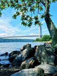 Bridge over sea against sky in city