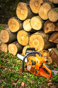 Stack of logs on field in forest