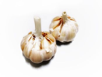 Close-up of pumpkins against white background