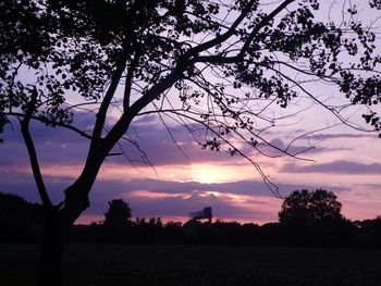 Silhouette trees on field against sky at sunset