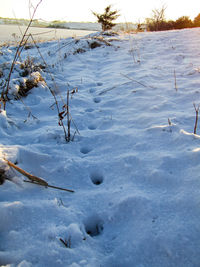 Snow covered landscape