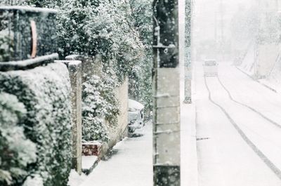 Snow covered road by trees