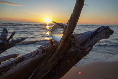 Driftwood on beach during sunset