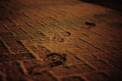 Close-up of tiled floor