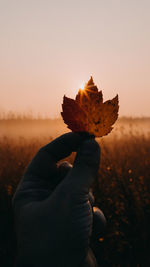 Close-up of person holding leaf on field against sky during sunset