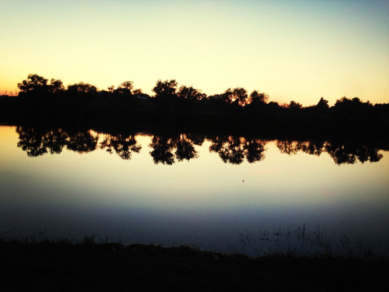 reflection, sunset, silhouette, tranquil scene, tranquility, water, lake, tree, scenics, beauty in nature, clear sky, nature, standing water, sky, idyllic, copy space, calm, dusk, growth, outdoors