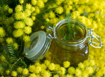 High angle view of flowering plants in jar