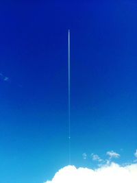 Low angle view of tree against blue sky