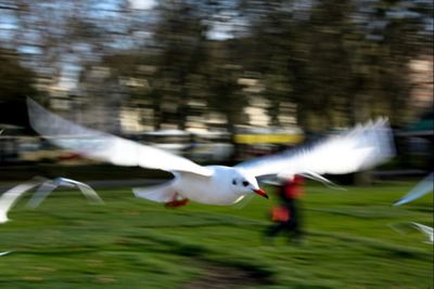 Blurred motion of water