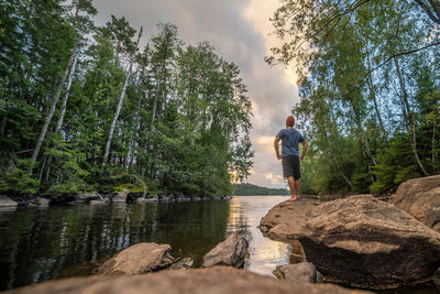 Rear view of man standing on rock in forest