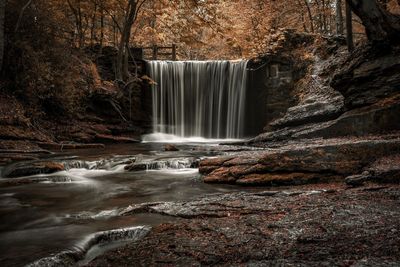 Scenic view of waterfall against trees in forest