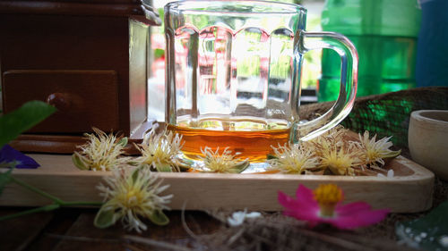 Close-up of potted plant on table