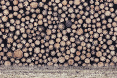Full frame shot of logs on field