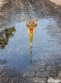 High angle view of reflection in puddle