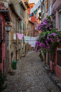 Alley amidst buildings in town