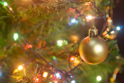 Close-up of illuminated christmas tree at night