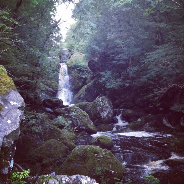 STREAM FLOWING THROUGH ROCKS IN FOREST