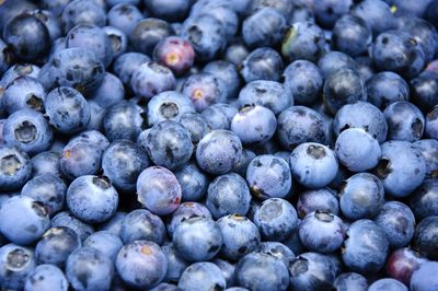 Full frame shot of blackberries