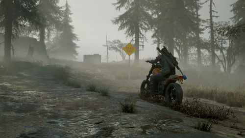 Rear view of man riding motorcycle on field