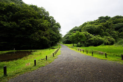 Empty road amidst trees against sky