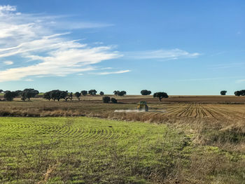 Scenic view of agricultural field against sky