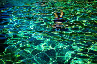 High angle view of man swimming in pool